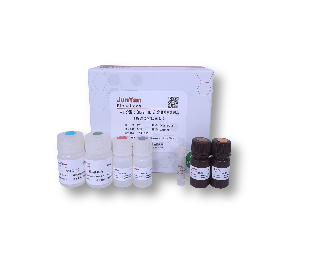 人白细胞介素6(IL-6)定量检测试剂盒